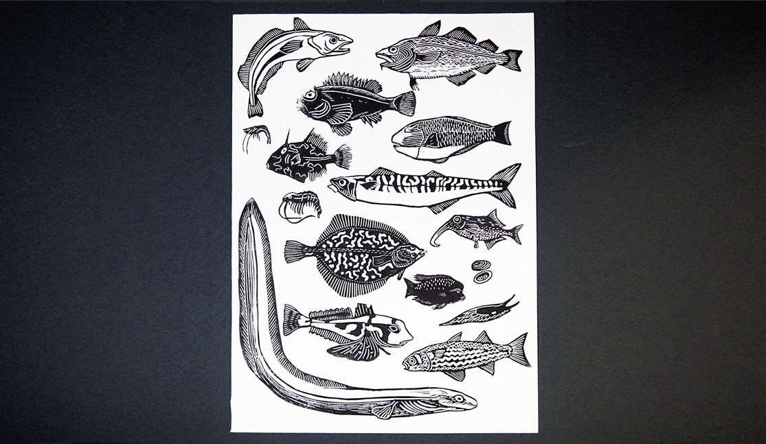 鱼类插图设计