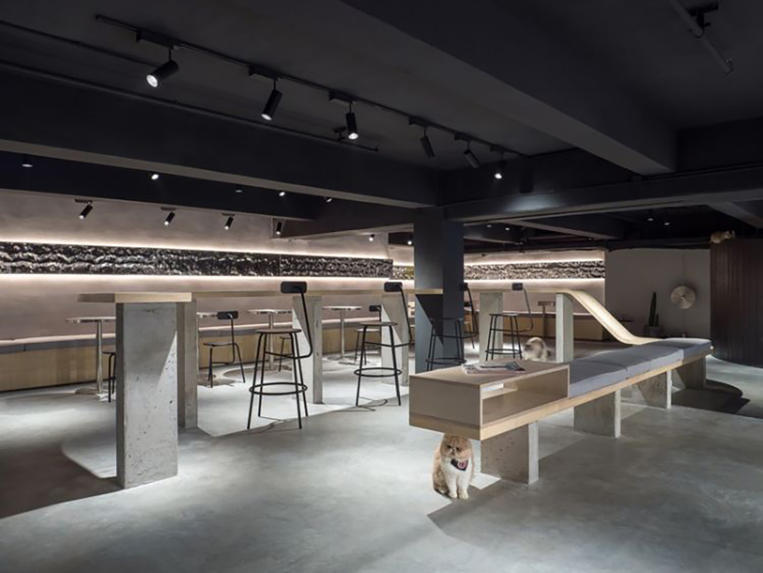 猫主题咖啡厅设计 广州 旧房改造 森林风 空中树屋  餐厅LOGO-VI空间设计