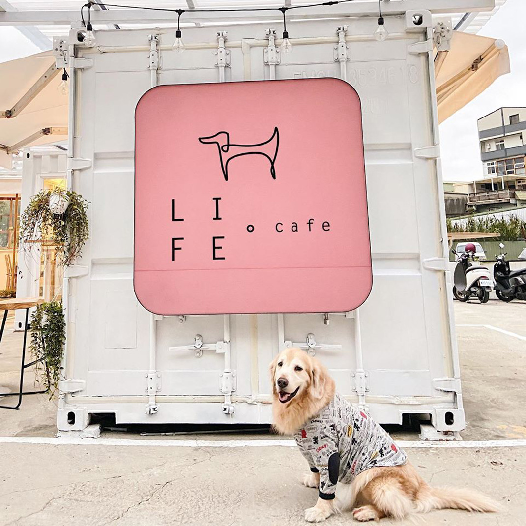Life cafe咖啡馆设计 台湾 咖啡馆 cafe 集装箱 动物 狗 餐厅LOGO VI设计 空间设计 视觉餐饮