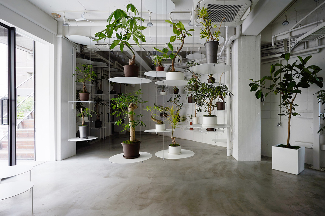 东京植物专卖店 植物被悬挂在半空中 日本 东京 植物 悬挂 logo设计 vi设计 空间设计