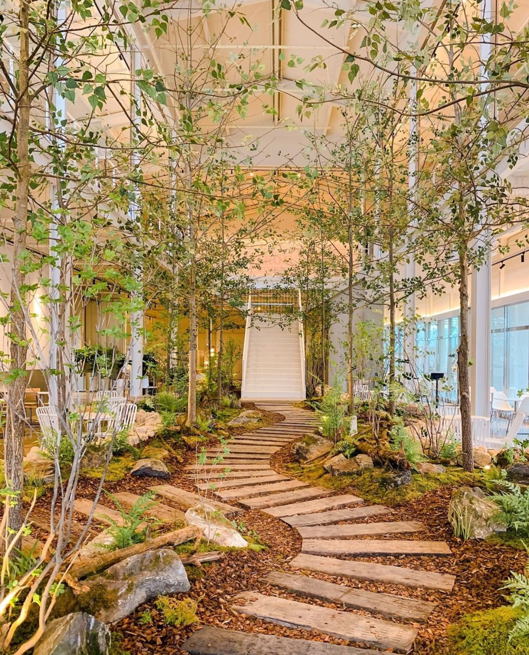 森林中的咖啡馆 韩国 咖啡馆 室内 绿植 森林 景观 logo设计 vi设计 空间设计