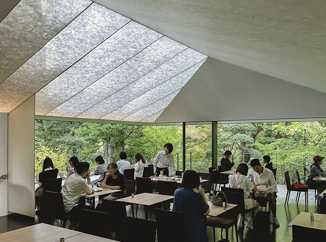 竹林营造的日式禅寂美学咖啡店，日本