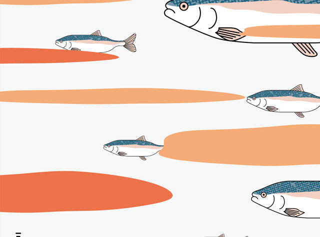 三文魚插画图形设计