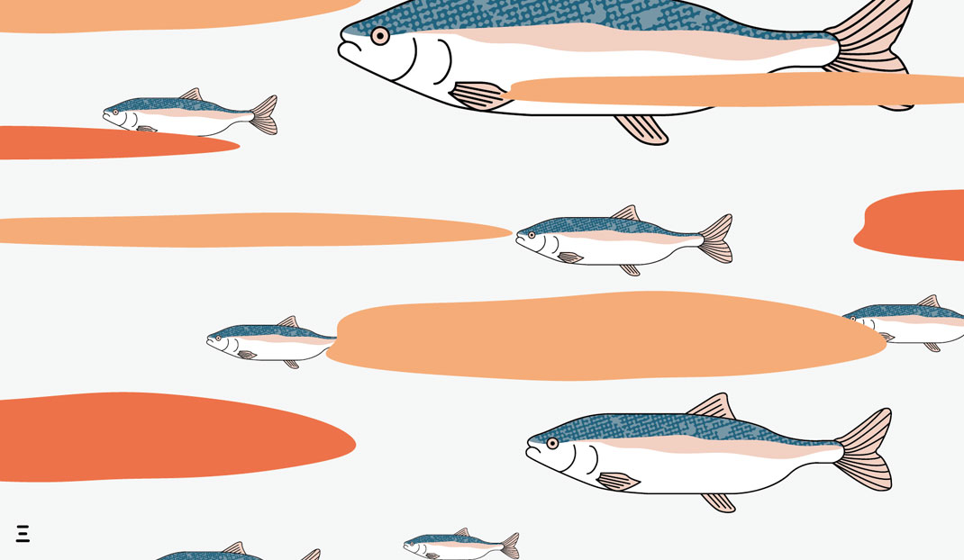 三文魚插画图形设计