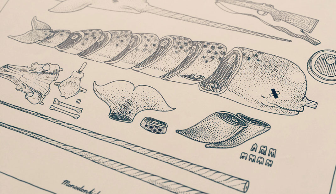 寿司鲸鱼手绘插图设计