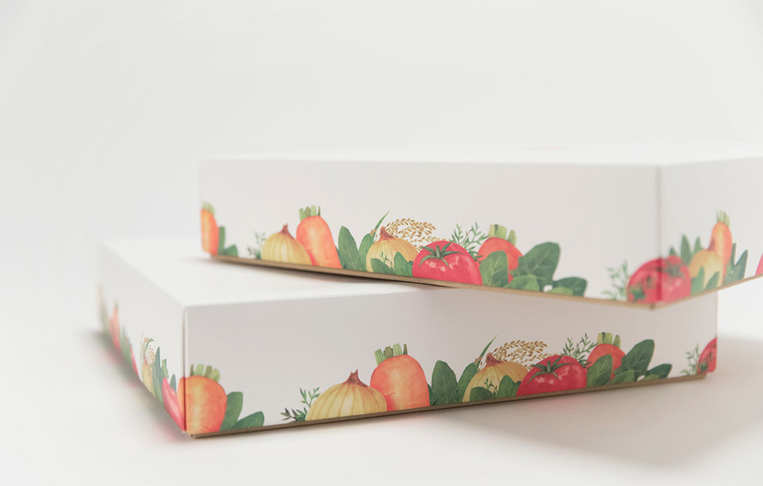 蔬菜和乳酸菌包装设计 日本 蔬菜 插图 包装设计 logo设计 vi设计 空间设计