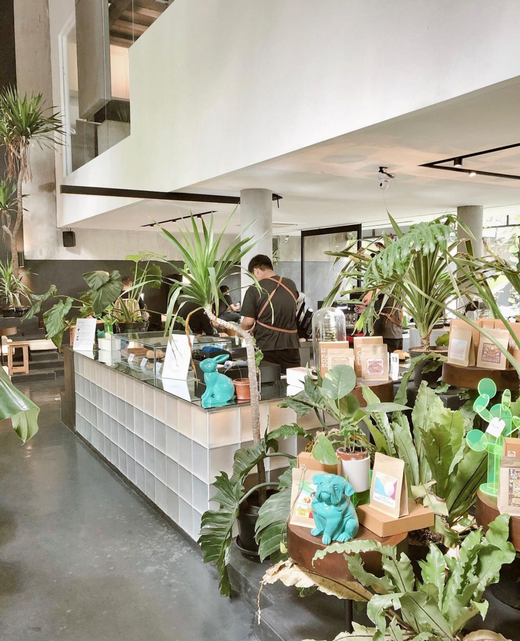 绿植咖啡店Café 印度尼西亚 咖啡店 café 绿植 logo设计 vi设计 空间设计