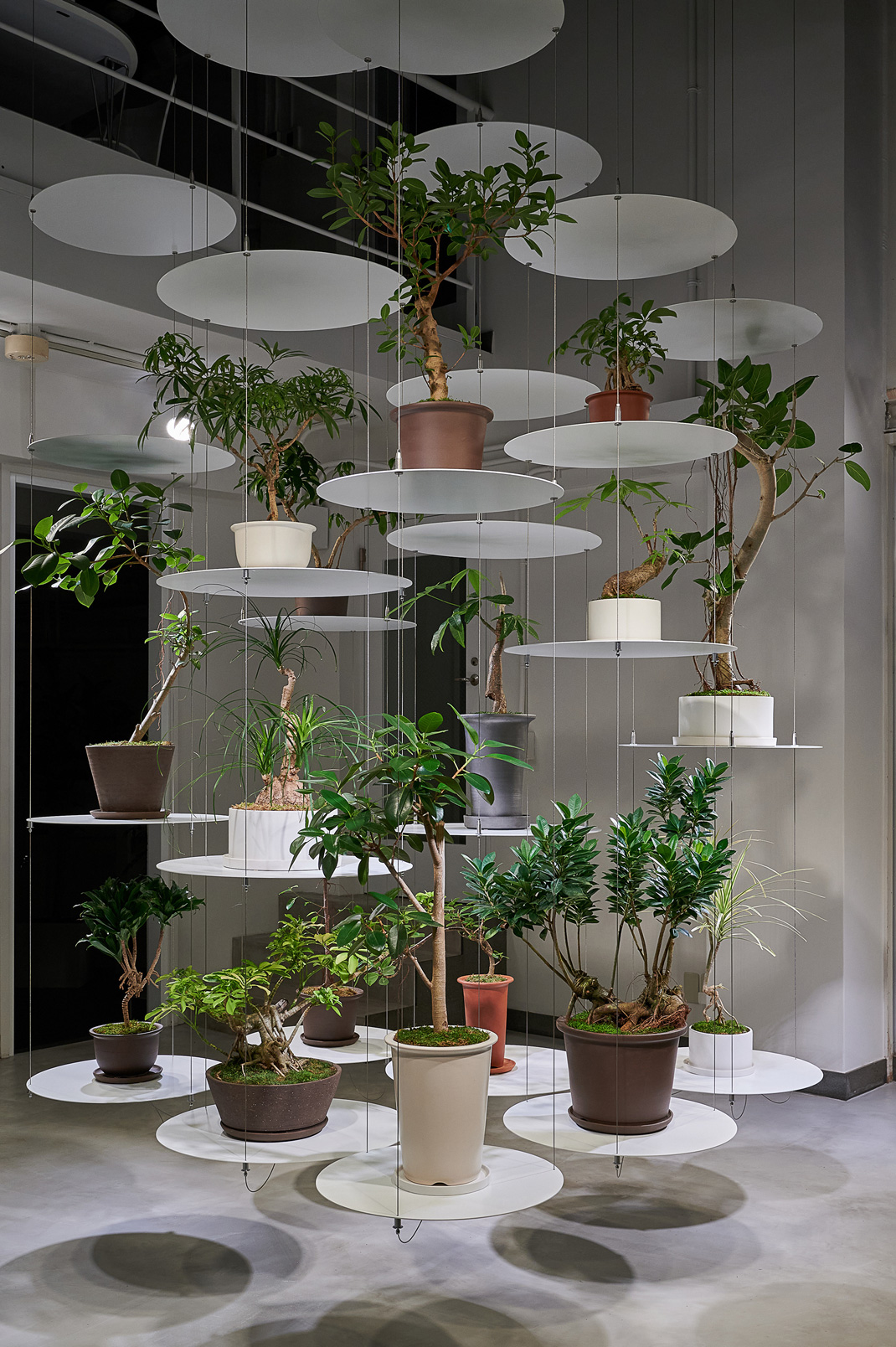 东京植物专卖店 植物被悬挂在半空中 日本 东京 植物 悬挂 logo设计 vi设计 空间设计