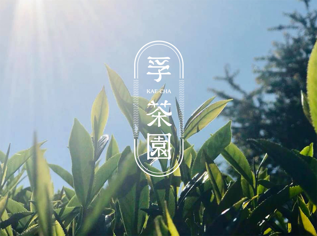 孚茶园KAE CHA 中国 台湾 台北 茶馆 字体设计 帆布 logo设计 vi设计 空间设计