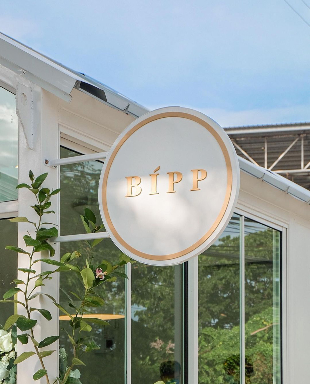 咖啡店BIPP Cafe 泰国 咖啡店 白色空间 绿植 logo设计 vi设计 空间设计