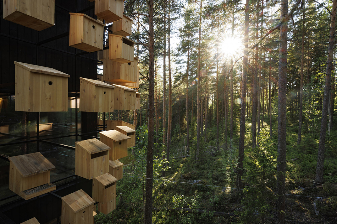 瑞典树屋酒店 瑞典 酒店 树屋 木材 金属 玻璃 钢 自然 logo设计 vi设计 空间设计