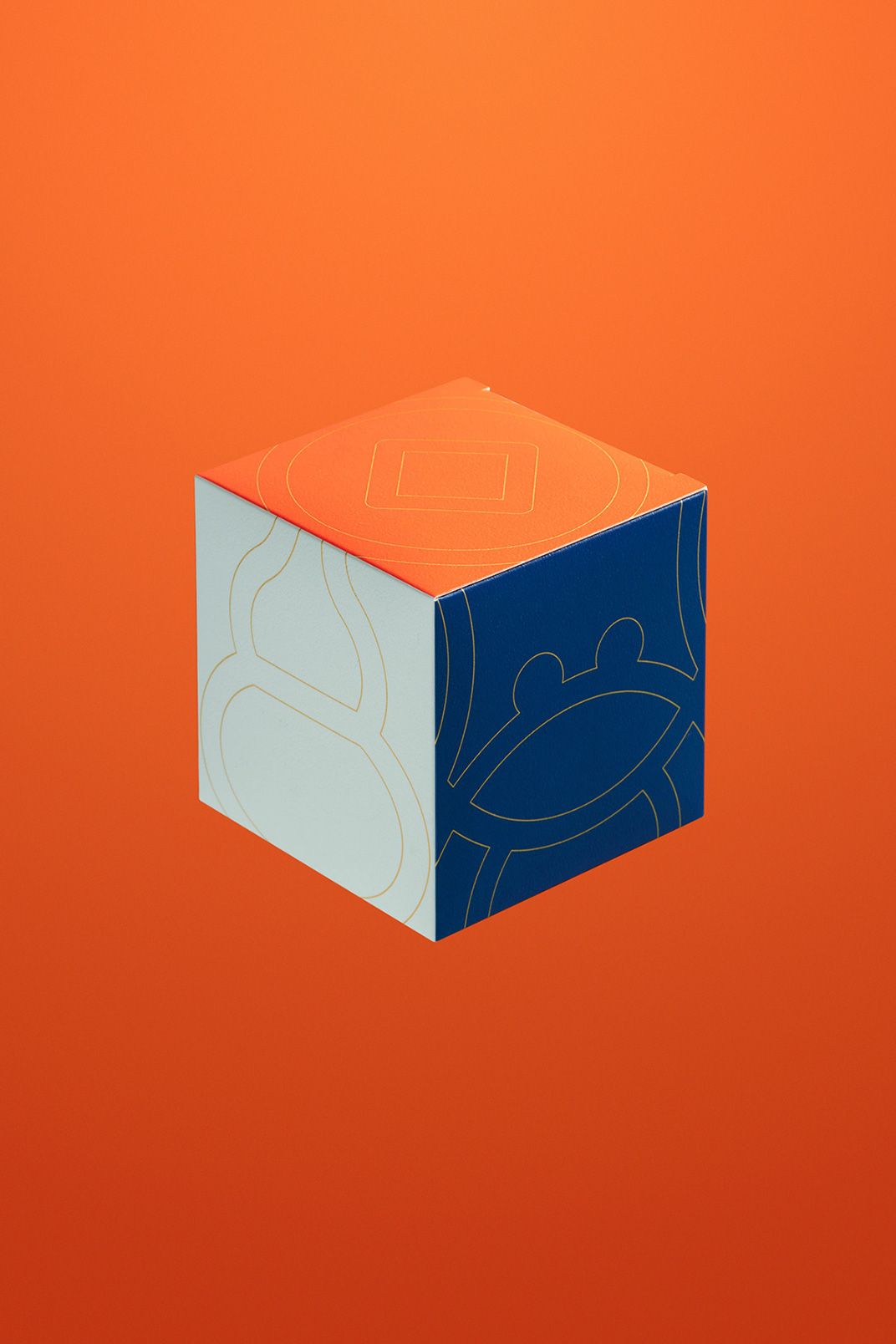 纯正吉祥的亮橙色套装包装设计 香港 礼盒 包装设计 插图设计 橙色 鱼 虾 蟹 鸡 logo设计 vi设计 空间设计