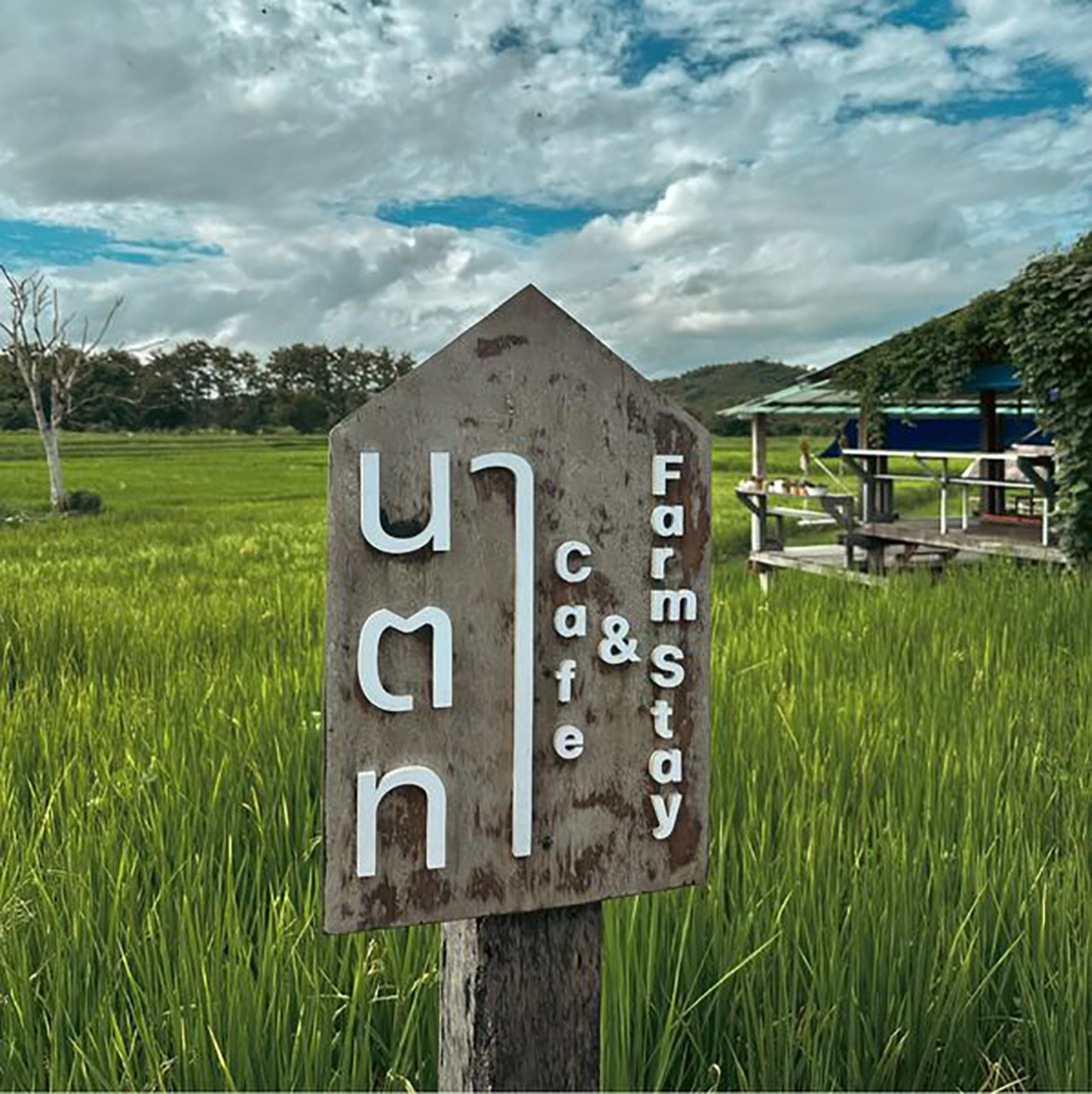 户外咖啡店Natatha Fram Stay 泰国 三亚 咖啡店 户外 社交 轻食 logo设计 vi设计 空间设计