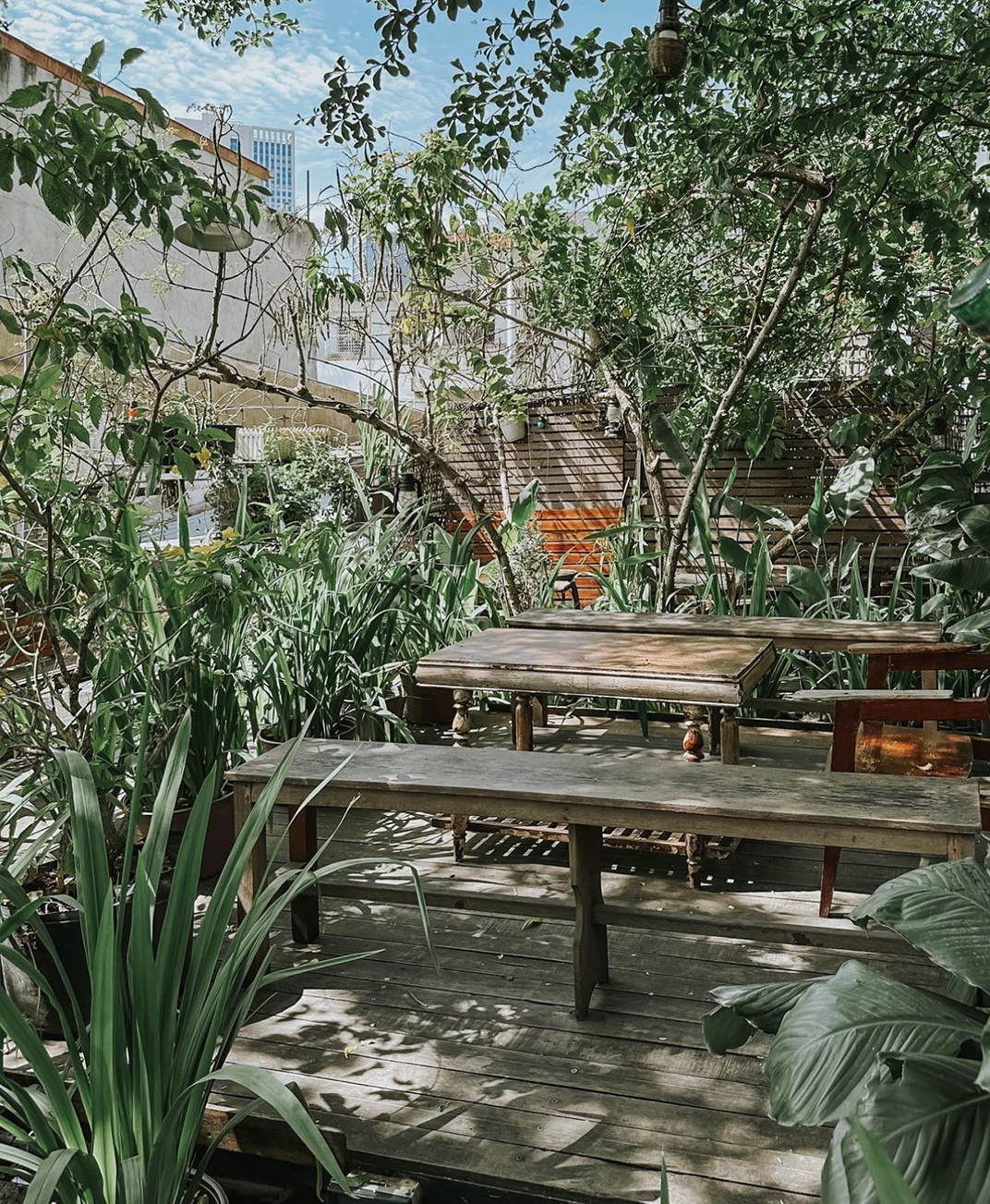 被绿植包围的咖啡馆空间 越南 北京 上海 成都 武汉 杭州 广州 澳门 logo设计 vi设计 空间设计