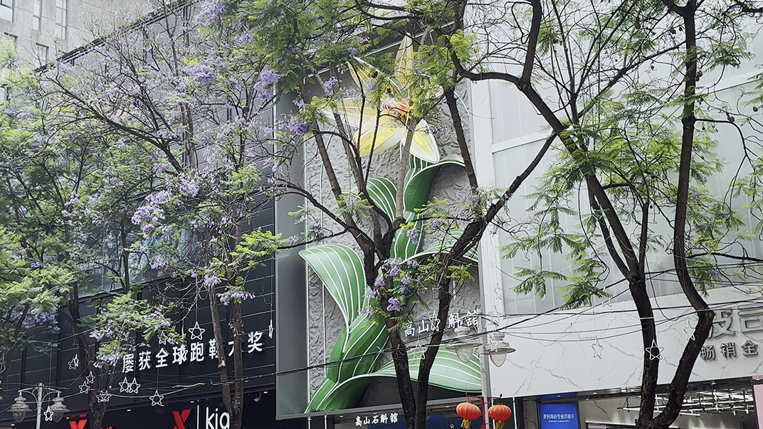 云南 昆明 弥勒 旅游 门头设计 视觉餐饮 招牌设计 空间设计 咖啡店 饮品店 餐厅
