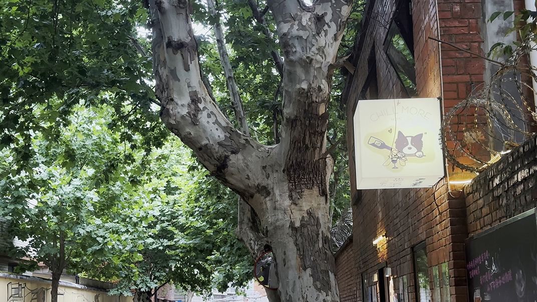 云南 昆明 弥勒 旅游 门头设计 视觉餐饮 招牌设计 空间设计 咖啡店 饮品店 餐厅